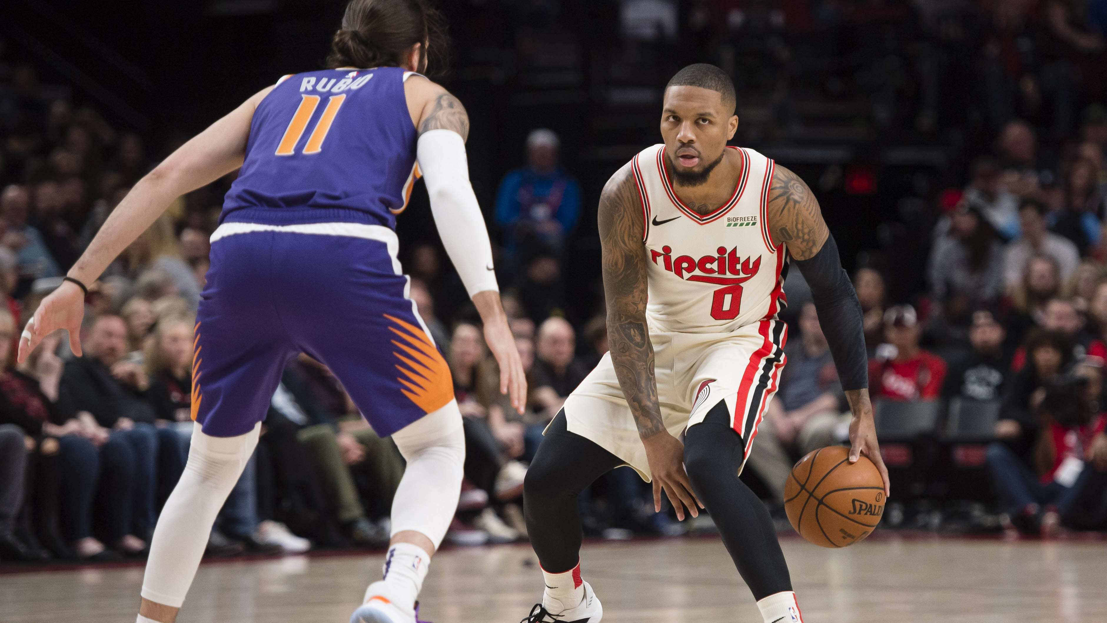 补充这些部 补充这些部