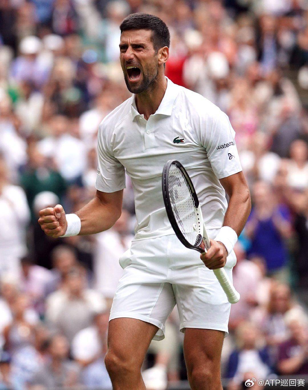 析对手的防 析对手的防